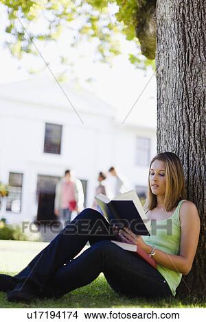 Student reading in grass on campus View Large Photo Image Picture - Student reading in grass on campus. Fotosearch