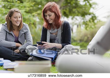 Students using cell phone on grass View Large Photo Image Stock Photo - Students using cell phone on grass. Fotosearch