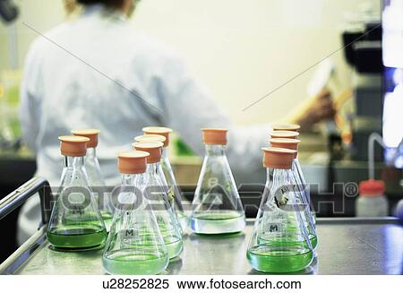 Stock Photography - Test tubes of plant cultures in lab. Fotosearch