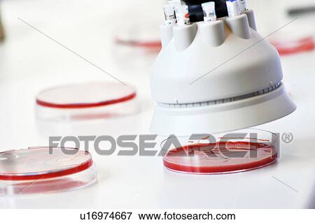 Stock Photo - Tool hovering over petri dishes in lab. Fotosearch