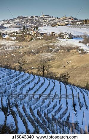 Stock Image - Trees growing on snowy rural hillside. Fotosearch