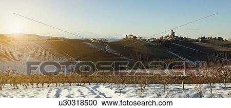 Trees growing on snowy rural hillside View Large Photo Image Stock Image - Trees growing on snowy rural hillside. Fotosearch