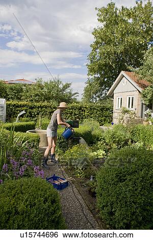 Stock Photograph - Woman gardening in backyard. Fotosearch