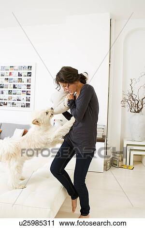 Woman playing with dog in living room View Large Photo Image Stock Image - Woman playing with dog in living room. Fotosearch