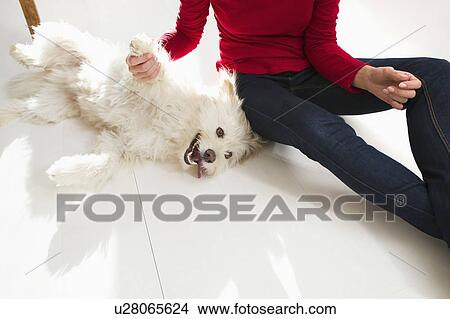 Woman playing with dog on floor View Large Photo Image Picture - Woman playing with dog on floor. Fotosearch