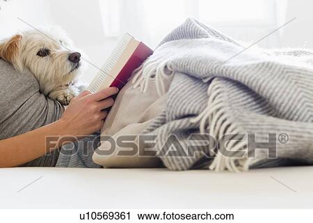 Stock Image - Woman reading in bed with dog. Fotosearch