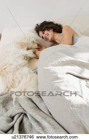 Woman relaxing in bed with dog View Large Photo Image Stock Photograph - Woman relaxing in bed with dog. Fotosearch