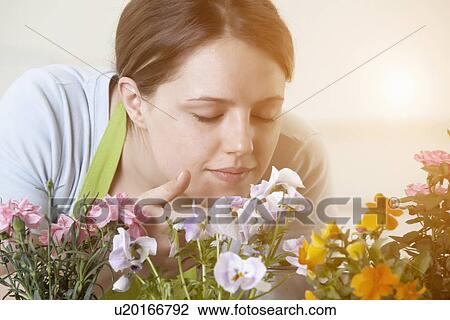 Stock Image - Woman smelling flowers plants indoors. Fotosearch