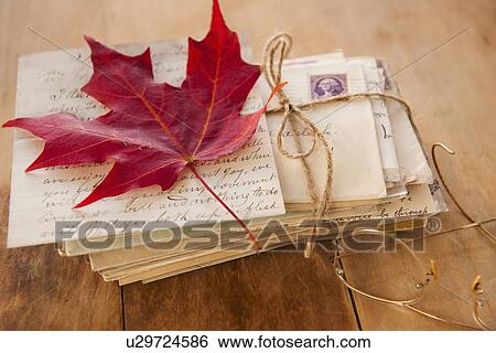 Stock Photograph - Autumn leaf on letters, studio shot. Fotosearch
