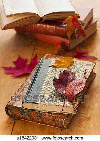 Autumn leaves on books, studio shot View Large Photo Image Stock Image - Autumn leaves on books, studio shot. Fotosearch