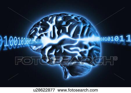 Stock Photo - Brain radiating light and numbers, studio shot. Fotosearch