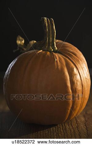 Close up of pumpkin View Large Photo Image Stock Image - Close up of pumpkin. Fotosearch