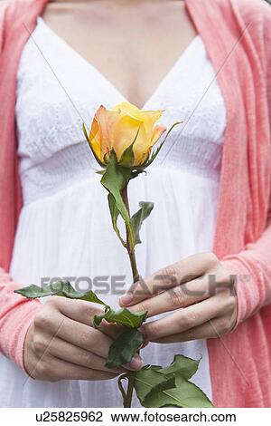 Stock Image - Close-up of woman holding yellow rose. Fotosearch