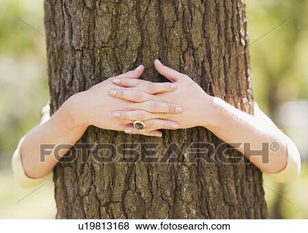 Stock Photo - Close up of woman's hands embracing tree. Fotosearch