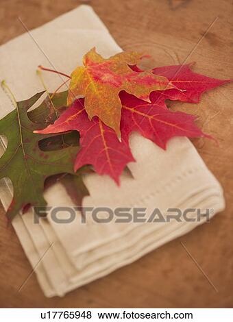Colorful autumn leaves on napkin View Large Photo Image Stock Photo - Colorful autumn leaves on napkin. Fotosearch