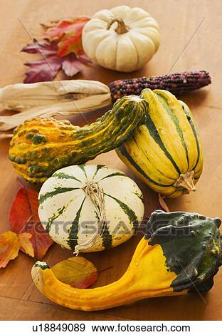 Colorful gourds, studio shot View Large Photo Image Stock Photo - Colorful gourds, studio shot. Fotosearch