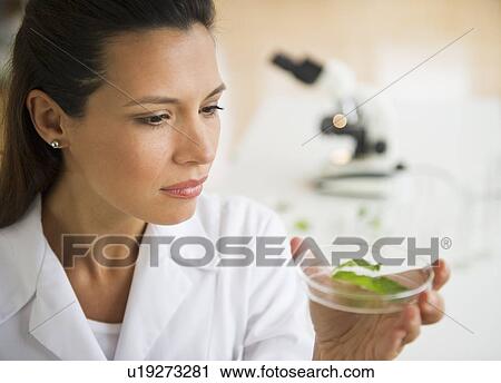 Stock Image - Female scientist examining sample. Fotosearch