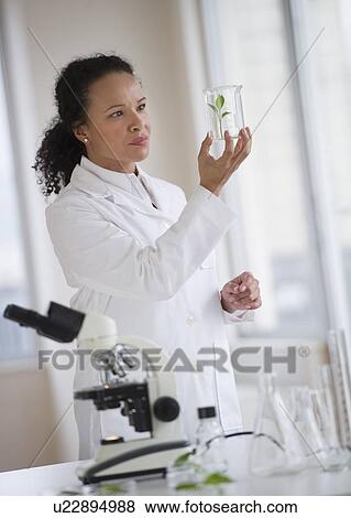 Stock Photo - Female scientist examining sample. Fotosearch