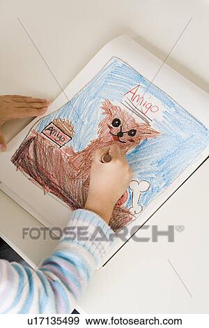 Girl (6-7) drawing dog, high angle view View Large Photo Image Stock Photo - Girl (6-7) drawing dog, high angle view. Fotosearch