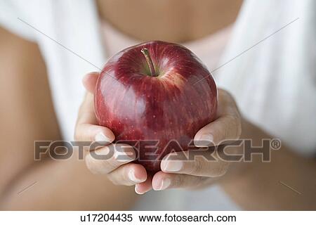 Stock Photography - Hands holding red apple. Fotosearch