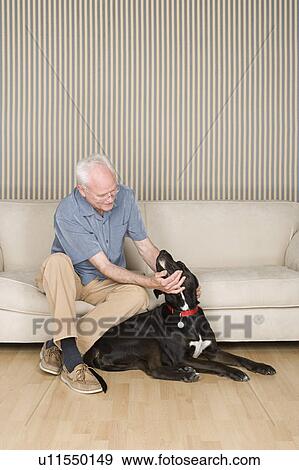 Happy senior man stroking dog View Large Photo Image Stock Photo - Happy senior man stroking dog. Fotosearch