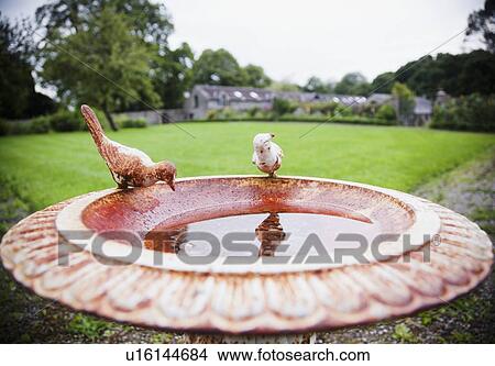 Picture - Ireland, County Westmeath, Antique birdbath in back yard. Fotosearch