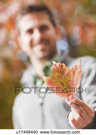 Man holding colorful autumn leaf View Large Photo Image Stock Image - Man holding colorful autumn leaf. Fotosearch