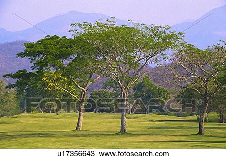 Stock Image - Mexico, Oaxaca, Huatulco, Tangolunda Bay, golf course . Fotosearch