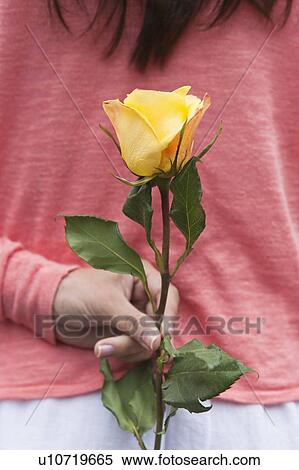 Stock Photography - Rear view of woman holding yellow rose behind back. Fotosearch