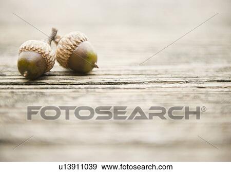Roaring Brook Lake, Close up of acorns on pier View Large Photo Image Stock Photo - Roaring Brook Lake, Close up of acorns on pier. Fotosearch