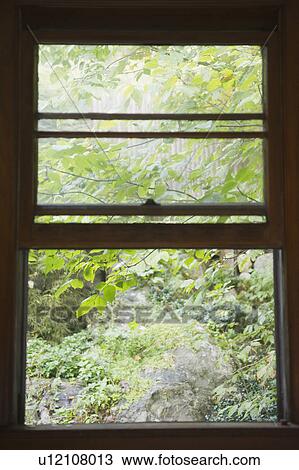 Stock Image - Roaring Brook Lake, Close up of branch behind window. Fotosearch