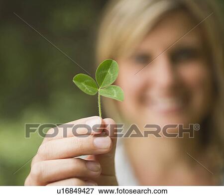 Roaring Brook Lake, Close up of woman's hand holding clover View Large Photo Image Stock Photo - Roaring Brook Lake, Close up of woman's hand holding clover. Fotosearch