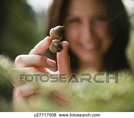 Roaring Brook Lake, Close up of woman's hand holding acorns View Large Photo Image Stock Photo - Roaring Brook Lake, Close up of woman's hand holding acorns. Fotosearch