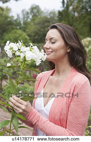 Smiling woman smelling white flowers View Large Photo Image Stock Image - Smiling woman smelling white flowers. Fotosearch