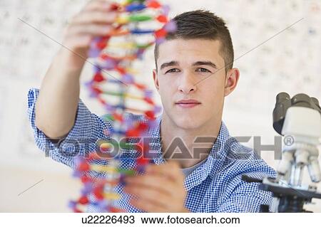 Teenage student (16-17) learning genetics View Large Photo Image Stock Image - Teenage student (16-17) learning genetics. Fotosearch