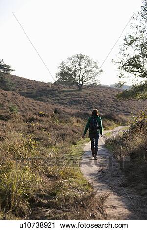 Stock Image - The Netherlands, Veluwezoom, Posbank, Hiker in countryside. Fotosearch