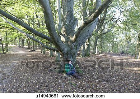 The Netherlands, Veluwezoom, Posbank, Woman sitting under tree in park View Large Photo Image Stock Image - The Netherlands, Veluwezoom, Posbank, Woman sitting under tree in park. Fotosearch