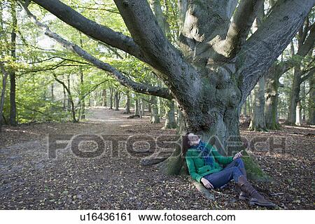 Stock Image - The Netherlands, Veluwezoom, Posbank, Woman sitting under tree in park. Fotosearch