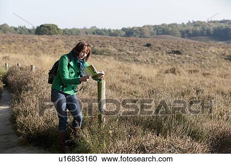 Stock Image - The Netherlands, Veluwezoom, Posbank, Woman reading guidebook in countryside. Fotosearch