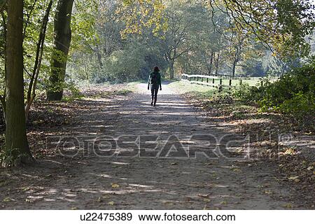 Stock Photo - The Netherlands, Veluwezoom, Posbank, Hiker in countryside. Fotosearch
