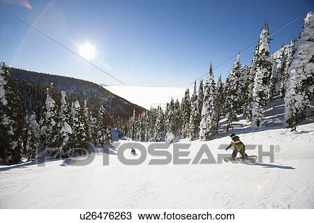 USA, Montana, Whitefish, Tourists on ski slope View Large Photo Image Stock Image - USA, Montana, Whitefish, Tourists on ski slope. Fotosearch