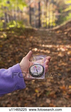 Stock Photography - USA, New Jersey, Close-up of woman's hand holding compass in Autumn forest. Fotosearch