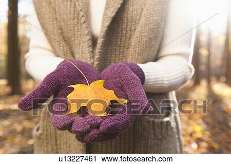 USA, New Jersey, Woman holding leaves in Autumn forest, mid section View Large Photo Image Stock Image - USA, New Jersey, Woman holding leaves in Autumn forest, mid section. Fotosearch