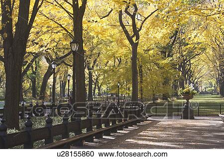 Stock Image - USA, New York City, Autumn scene in Central Park. Fotosearch