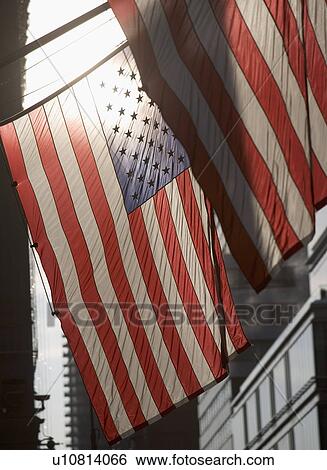 USA, New York City, Backlit American flags View Large Photo Image Stock Photograph - USA, New York City, Backlit American flags. Fotosearch