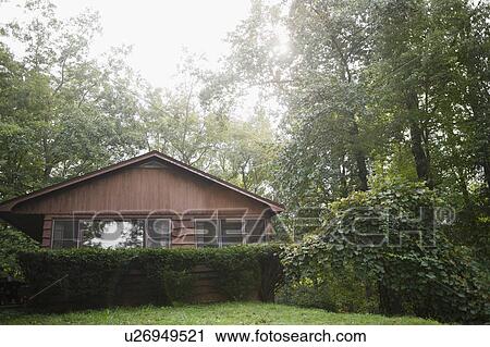 USA, New York, Putnam Valley, Roaring Brook Lake, Summer home in forest View Large Photo Image Stock Image - USA, New York, Putnam Valley, Roaring Brook Lake, Summer home in forest. Fotosearch