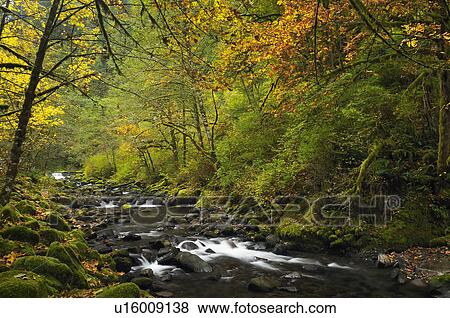Stock Photo - USA, Oregon, Eagle Creek. Fotosearch