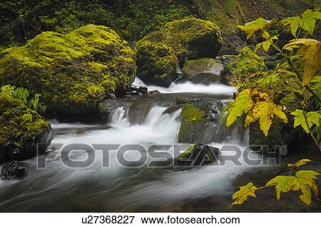 Stock Photo - USA, Oregon, Eagle Creek. Fotosearch