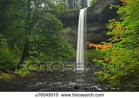 Stock Image - USA, Oregon, Marion County, South Falls. Fotosearch