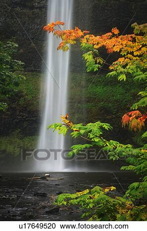 Stock Image - USA, Oregon, Marion County, South Falls. Fotosearch